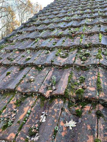 Fréquence du nettoyage de toiture : conseils pour un entretien optimal de votre toiture