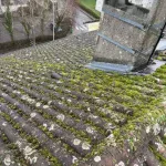 Démoussage sur toiture