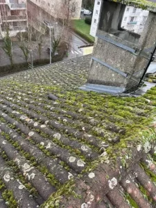 Démoussage sur toiture